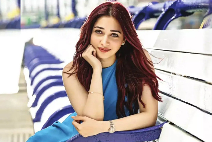 /media/k2/galleries/68943/Next-Enti-03