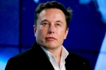 Tesla, Elon Musk twitter news, after twitter poll elon musk sells 1 1 billion usd tesla stocks, Twitter news