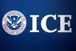 129 Indians, 130 arrested, us 129 indians among 130 students arrested in pay to stay immigration fraud, 90 students arrested