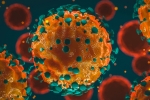 Coronavirus, coronavirus new cases, 37 875 new coronavirus cases reported in india, Coronavirus deaths