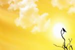 UAE news, shortest day of the year, friday is the longest day of the year, Middle east news