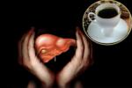 Heavy Drinkers, Hepatic Cancer treatment, coffee consumption helps in protecting boozers livers, Alcohol addicts