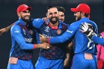 World cup 2023, World cup 2023, world cup 2023 afghanistan s historic victory, Rashid khan