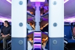 Air New Zealand, Air New Zealand Bunk Beds latest, air new zealand introduces bunk beds in economy flights, Seats Air New Zealand, Air New Zealand Bunk Beds latest, air new zealand introduces bunk beds in economy flights, Seats