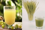 Amla Juice Vs Wheatgrass Juice health update, Amla Juice Vs Wheatgrass Juice for health, amla juice vs wheatgrass juice for fatty liver, Us journal