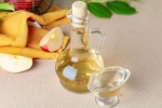 Apple Cider Vinegar experts, Apple Cider Vinegar latest, health benefits of apple cider vinegar, Drugs