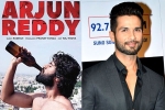 Shahid Kapoor news, Shahid Kapoor next film, arjun reddy goes to bollywood, Padmavati