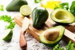 Avocado advantages, Avocado advantages, add avocado in your diet to lose weight, Crashes