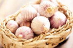 Chinese garlic banned reasons, Chinese garlic banned, how to identify banned chinese garlic in the indian market, Gonda