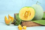 Muskmelon Seeds news, Muskmelon Seeds benefits, health benefits of muskmelon seeds, Oestrogen Muskmelon Seeds news, Muskmelon Seeds benefits, health benefits of muskmelon seeds, Oestrogen