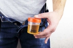 Hidden Kidney Cancer Risks latest, Hidden Kidney Cancer Risks latest breaking, spotting blood in urine can reveal hidden kidney cancer risks, Airport