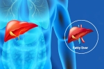 Fatty Liver Disease News breaking, Fatty Liver Disease News breaking updates, body organs that can be affected by fatty liver disease, Body organs