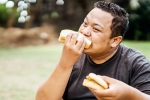 Bread, Bread for weightloss breaking, will bread help in weightloss, Lose weight