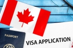 Canada's study visa approvals decline, Canada's study visa approvals for students of India, canada s study visa approvals for indian students to drop by 50 in 2024, Autumn