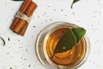 Cinnamon Water latest, Cinnamon Water breaking updates, can cinnamon water manage heart diseases, Pregnancy Cinnamon Water latest, Cinnamon Water breaking updates, can cinnamon water manage heart diseases, Pregnancy