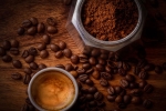 coffee mask for hair loss, coffee in hair before and after, how to use coffee for hair growth, Testosterone coffee mask for hair loss, coffee in hair before and after, how to use coffee for hair growth, Testosterone