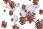 WHO, Indian coronavirus variant, who renames the coronavirus variants of different countries, Indian coronavirus variant