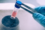 Trump, Trump, covid 19 vaccine will be free if one can t afford trump administration, 5 pharmaceutical companies