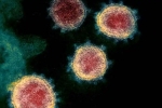 Coronavirus existing variants, Coronavirus India, face covid 26 and covid 32 warns experts, Coronavirus origin
