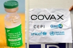 Covishield COVAX, Covishield and COVAX, sii to resume covishield supply to covax, Astrazeneca