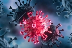 Coronavirus, USA Coronavirus new cases, delta variant makes usa tensed again, Covid 19 patients