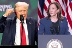 Donald Trump, Donald Trump, donald trump calls kamala harris is married to a jewish man, Laughing