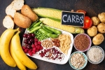 Too Many Carbs update, Too Many Carbs latest, what happens if you eat too many carbs, Erra b