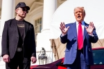 Elon Musk and Donald Trump news, Elon Musk and Donald Trump discussion, elon musk asks donald trump to reverse china tariffs, Harvard