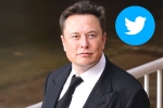 Elon Musk updates, Elon Musk Twitter CEO, elon musk takes a complete control over twitter, Twitter news