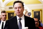 Indians on Elon Musk vs Trump Supporters, Elon Musk vs Trump Supporters, elon musk vs trump supporters over indian immigrants, Us universities
