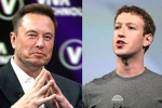 Elon Musk and Mark Zuckerberg flight, Elon Musk and Mark Zuckerberg war, elon vs zuckerberg mma fight ahead, Medal