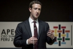 Facebook investors, Facebook investors, facebook ceo refuses to quit amid pressure from investors, Mark zuckeberg