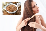 Flaxseeds for hair health, Flaxseeds latest breaking, how flaxseeds can help for a long and healthy hair, Recipes