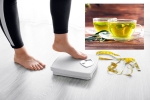 Green Tea for Weight loss latest tips, Green Tea for Weight loss survey, can consuming green tea really help in weight loss, Skin care