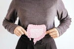Gut Vs Skin news, Gut Vs Skin updates, your gut decides about your skin, Skincare routine
