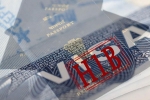 USCIS, USCIS, h1 b electronic registration process completed for 2021, Savings