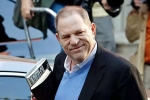 Harvey Weinstein found at Arizona restaurant, Harvey Weinstein found at Arizona restaurant, harvey weinstein spotted at arizona restaurant, Harvey weinstein Harvey Weinstein found at Arizona restaurant, Harvey Weinstein found at Arizona restaurant, harvey weinstein spotted at arizona restaurant, Harvey weinstein