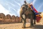 heritage tours and travels bangalore, India, 10 best heritage tours in india, Sambar