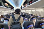 India and UAE travel breaking updates, India and UAE travel latest, guidelines for indians to fly to dubai, Abu dhabi