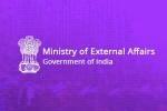 india response on pak pm, ministry of external affairs statement, india s response to pakistan prime minister imran khan s statement, Pakistan government