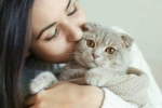 cats pets, Cat Owner, international cat day reasons why being a cat owner is good for health, Autism
