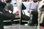 poonam joshi, journalist saving Indian flag, watch journalist jumps into violent protest to save indian tricolor, Sikh man