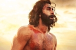 Karan Johar, Karan Johar Animal news, karan johar heaps praise on animal, Kabir singh