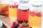 Kombucha and Fermented Foods benefits, Kombucha and Fermented Foods health updates, health benefits of kombucha and fermented foods, System