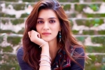 Chandigarh, Varun Dhawan, kriti sanon tested positive for covid 19, Actress kriti sanon