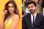 Kriti Sanon next movie, Vijay, kriti sanon to romance vijay in his next, Kadi