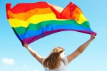 Sodomy Offence, Lesbianism offence, lesbianism is a sexual offence, Curriculum