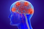 post covid complications, Coronavirus impact on brain, coronavirus can cause long term loss of brain tissue, Fda