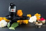maha shivaratri 2019 isha, maha shivaratri 2019 tamil calendar, maha shivratri 2019 visit these lord shiva temples to witness best of the maha shivratri, Maha shivratri