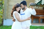 Mehreen, Sharwanand, mahanubhavudu ten days collections, Mahanubhavudu